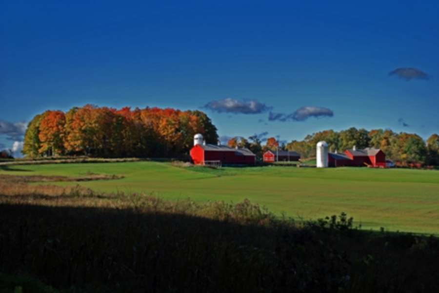 Calling for safe alternatives to toxic pesticides in Vermont